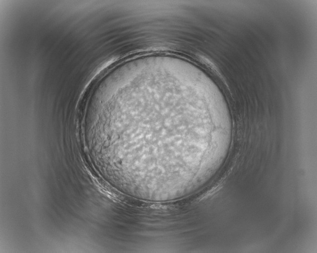 X0000064040827200602171642