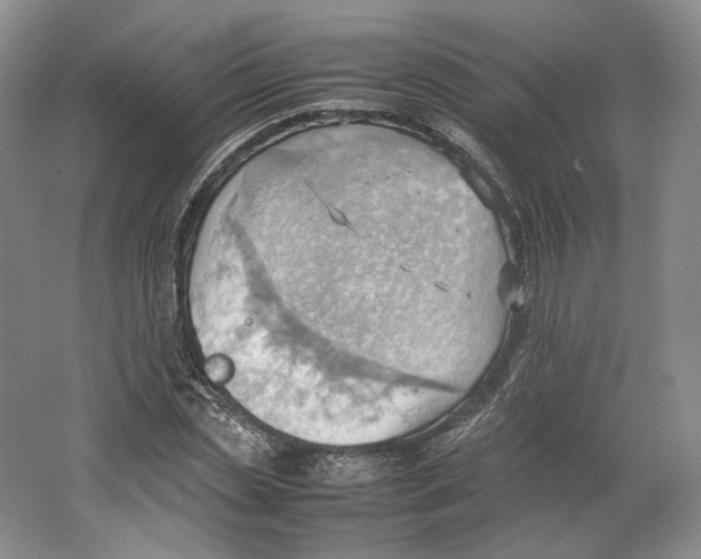 X0000064040829200602171642