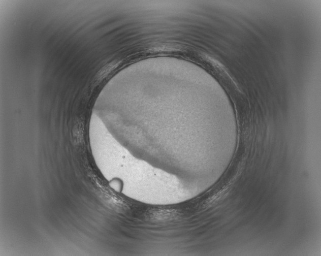 X0000064040833200602171642