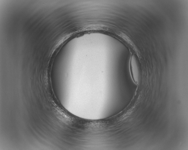 X0000064040834200602171642