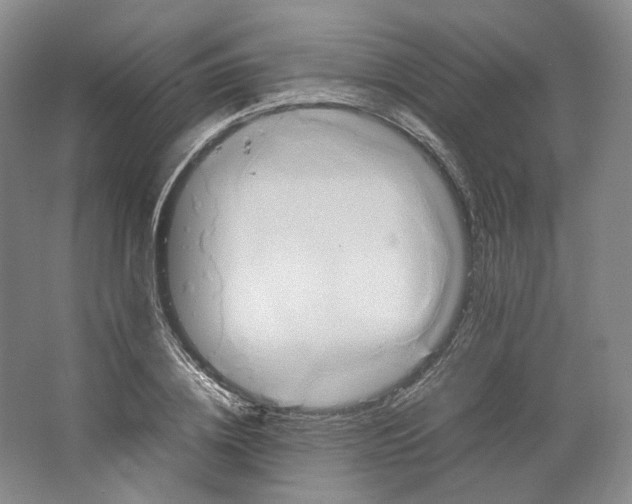 X0000064040836200602171642