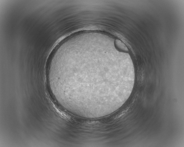 X0000064040837200602171642