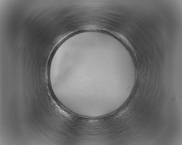 X0000064040839200602171642