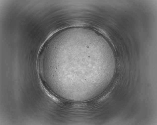 X0000064040843200602171642