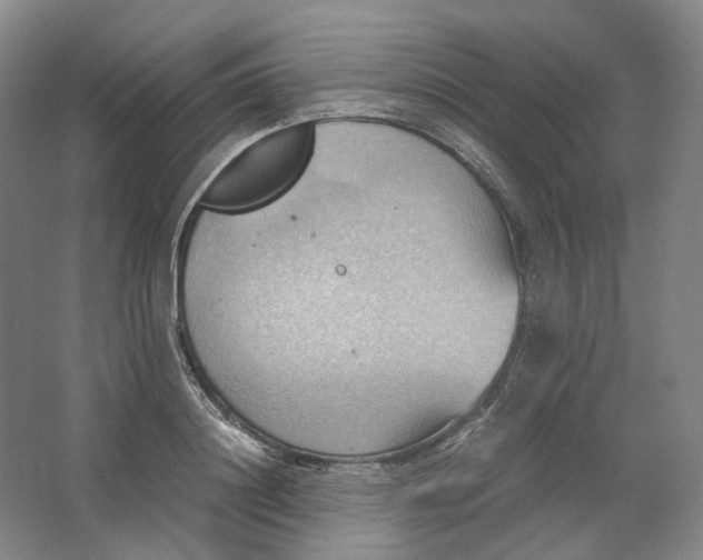 X0000064040844200602171642