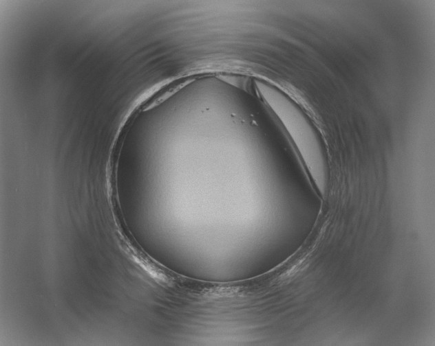 X0000064040846200602171642