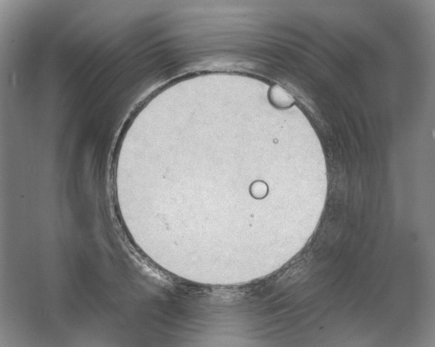 X0000064040848200602171642