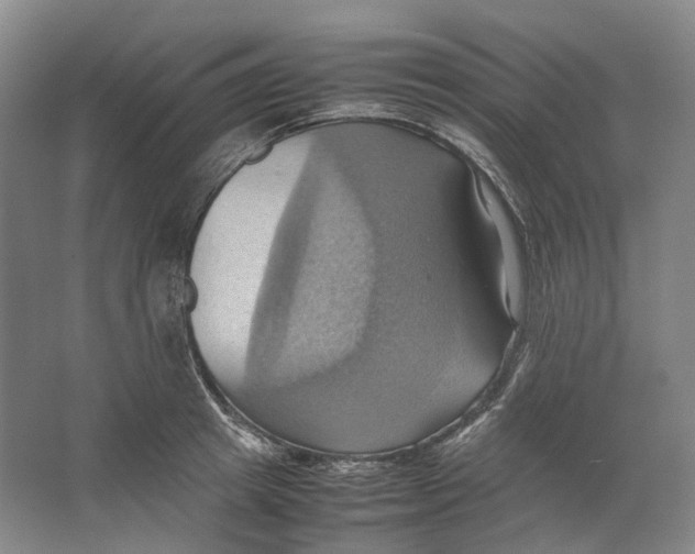 X0000064040849200602171642