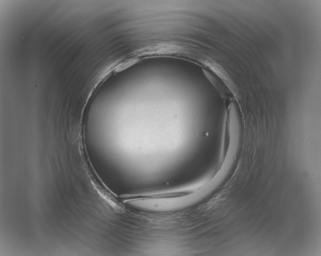 X0000064040850200602171642