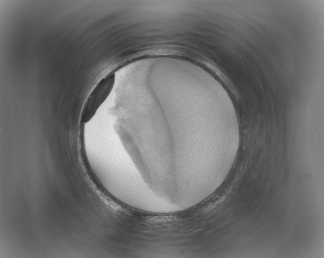 X0000064040853200602171642