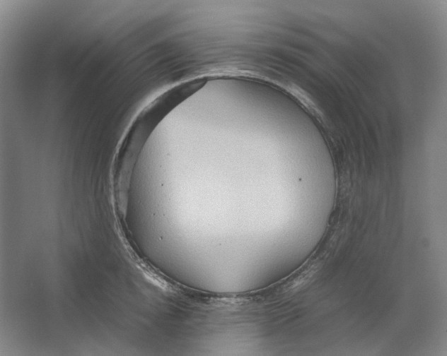 X0000064040854200602171642