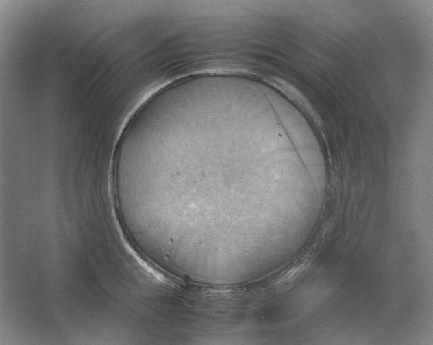 X0000064040855200602171642