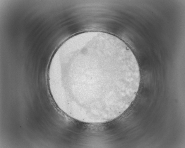 X0000064040856200602171642