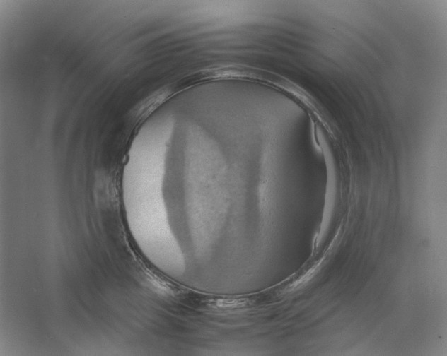 X0000064040857200602171642