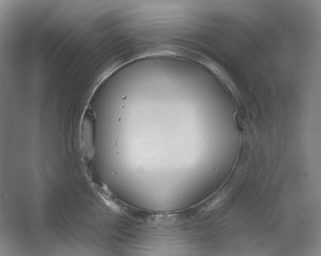 X0000064040858200602171642