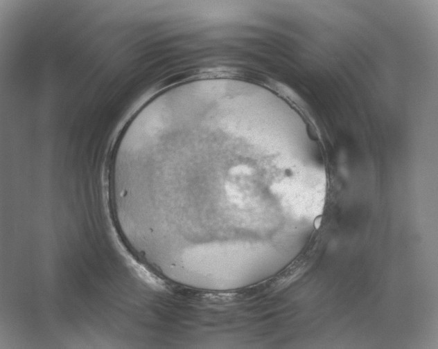 X0000064040859200602171642