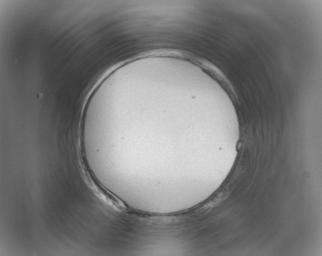 X0000064040860200602171642