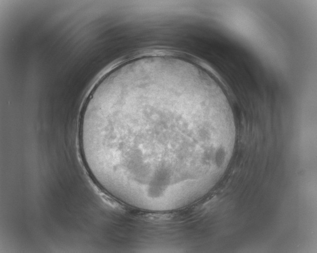 X0000064040861200602171642