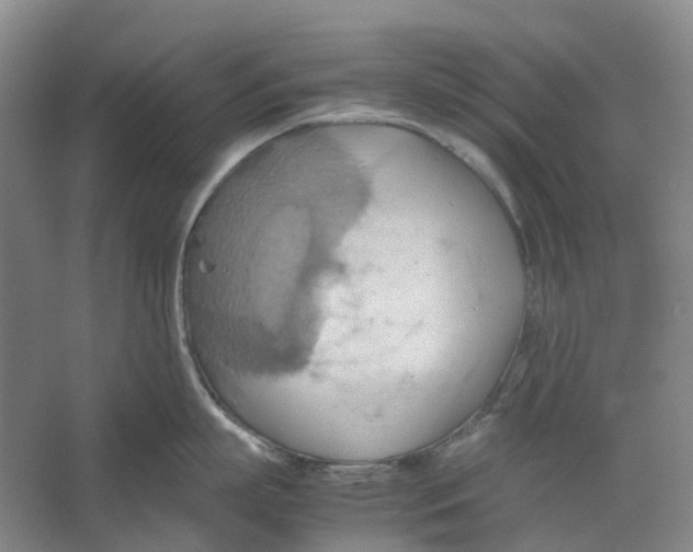 X0000064040863200602171642