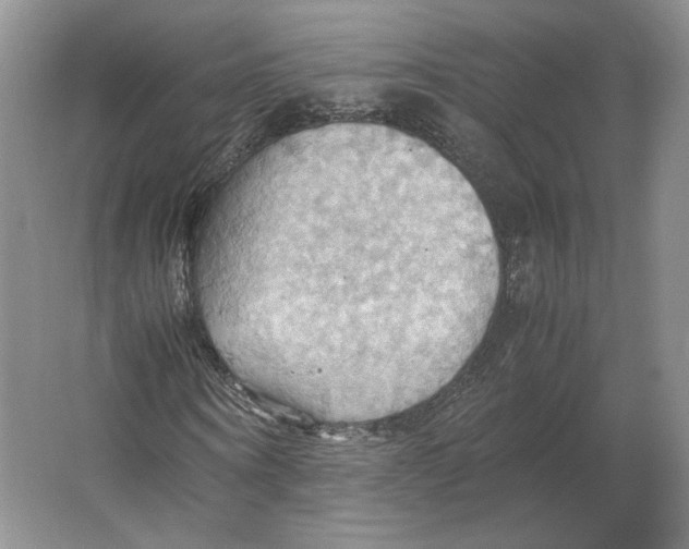 X0000064040866200602171642