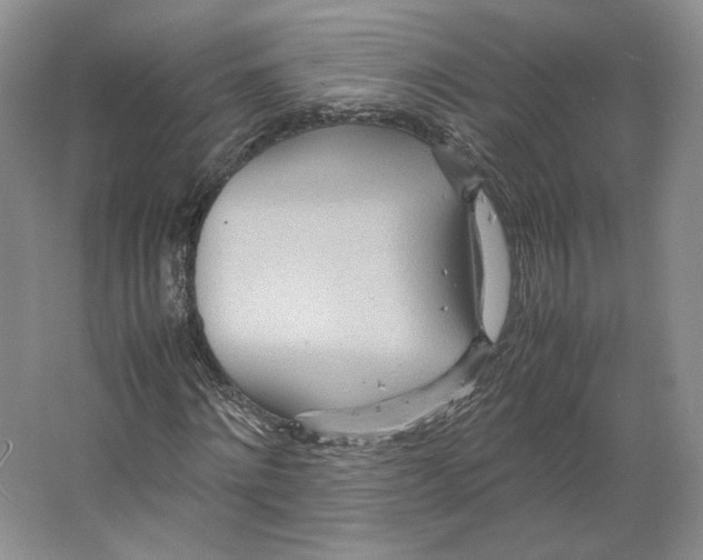 X0000064040868200602171642