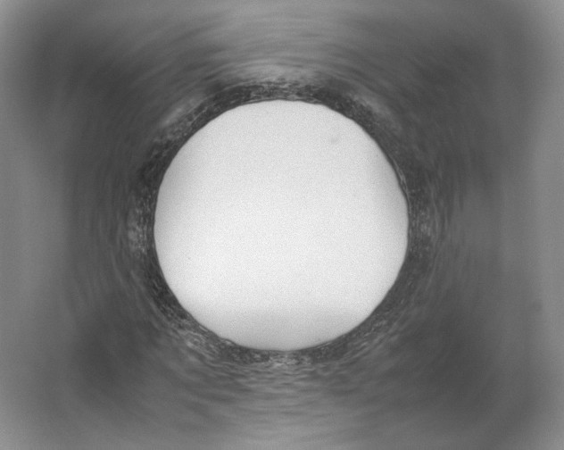 X0000064040869200602171642