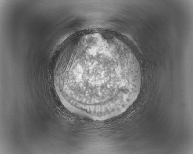 X0000064040871200602171641