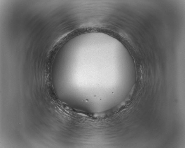 X0000064040872200602171641