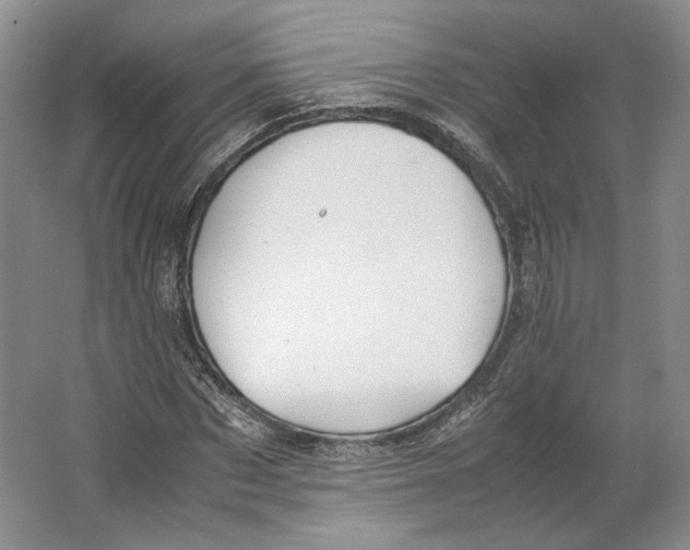 X0000064040873200602171641