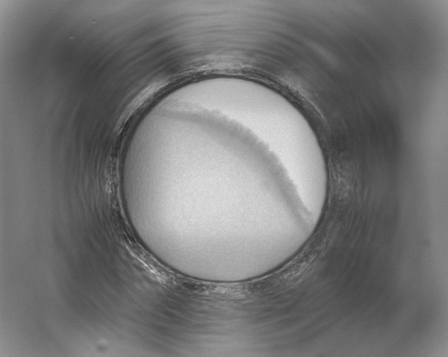 X0000064040874200602171641