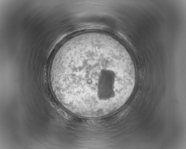 X0000064040875200602171641