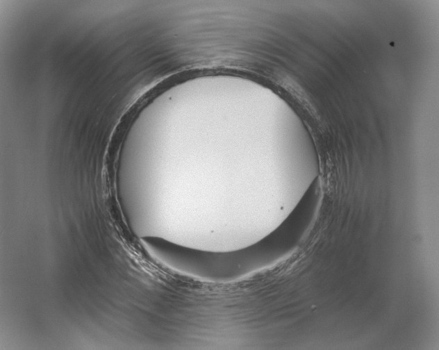 X0000064040876200602171641