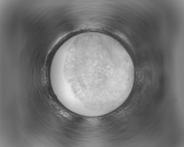 X0000064040878200602171641