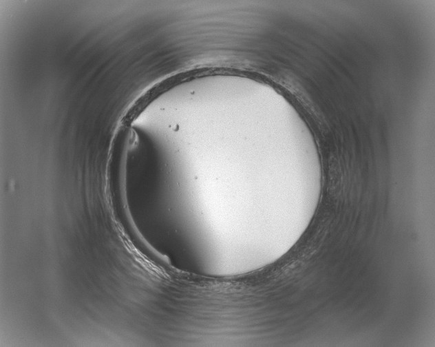 X0000064040880200602171641