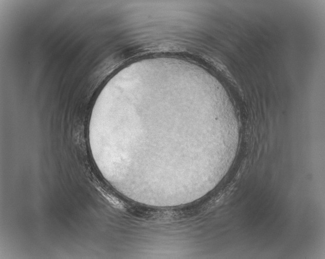 X0000064040881200602171641