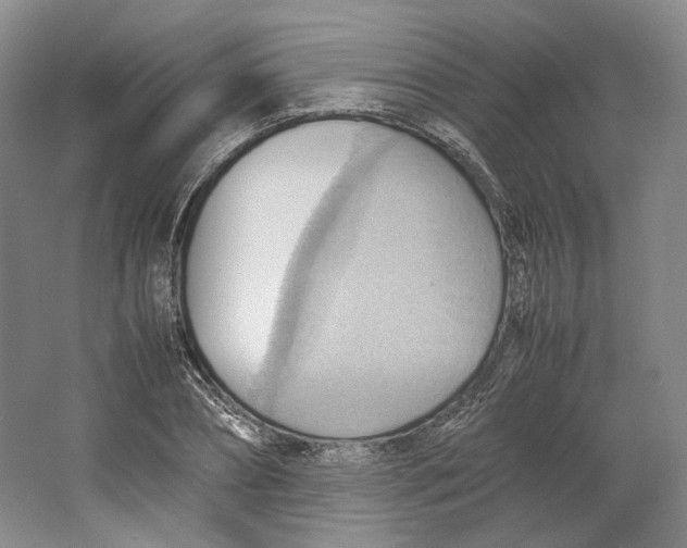 X0000064040882200602171641