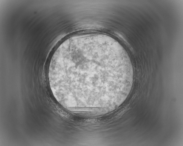 X0000064040883200602171641