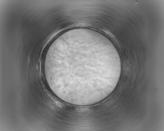 X0000064040886200602171641