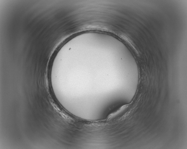 X0000064040888200602171641