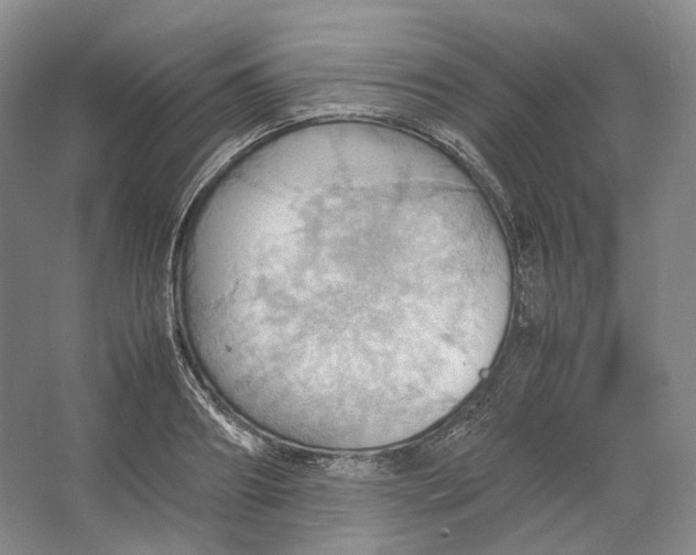 X0000064040890200602171641