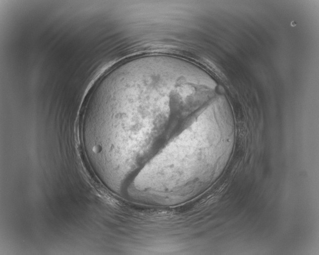 X0000064040891200602171641