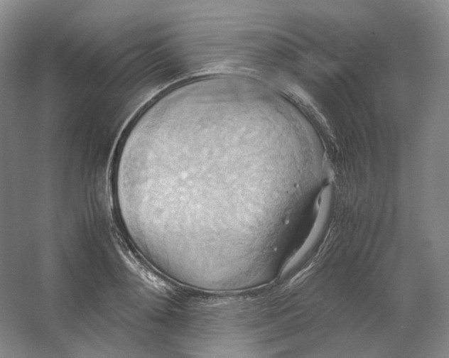 X0000064040892200602171641