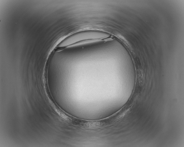 X0000064040893200602171641