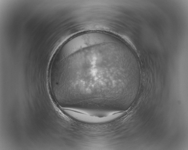 X0000064040895200602171641