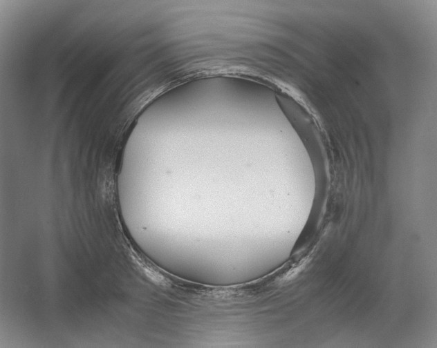 X0000064040897200602171641