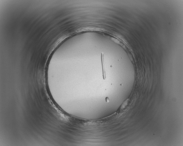 X0000064040898200602171641