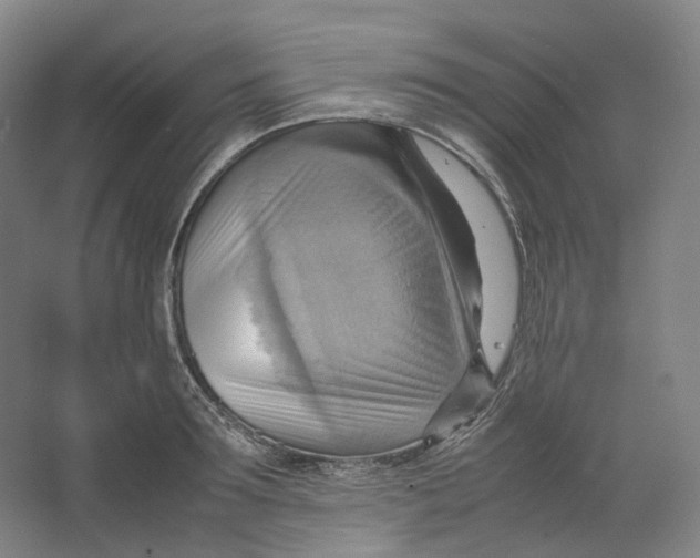 X0000064040899200602171641