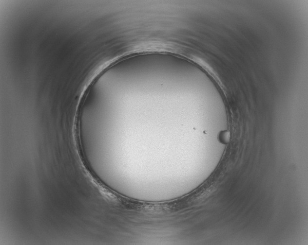 X0000064040901200602171641