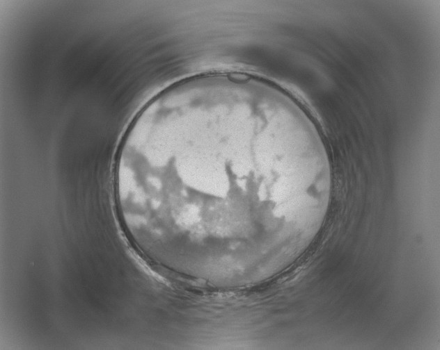 X0000064040903200602171641