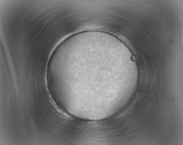 X0000064040904200602171641